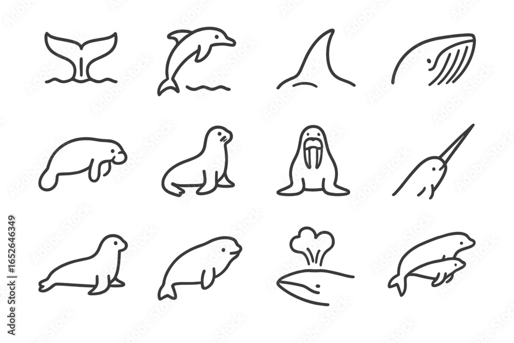 Naklejka premium Outline illustrations of various marine mammals on gray background