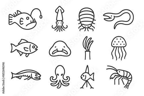 Stylized marine animals illustration: fish, squid, eel, jellyfish, octopus