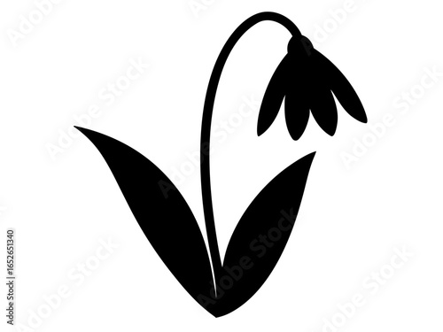 Snowdrop flowers silhouette vector, flower icon