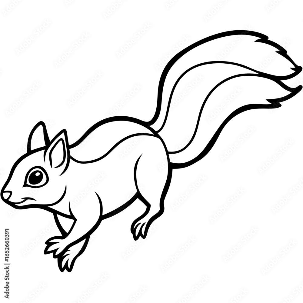Fototapeta premium Flying squirrel line art vector