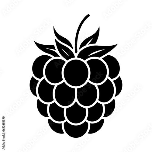raspberry silhouette vector in black and white for food and nature designs