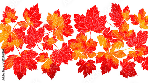 紅葉の秋を彩るモミジのベクターイラスト