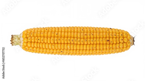 Isolated grilled corn with ...
