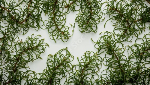 Overhead shot of fresh gree...