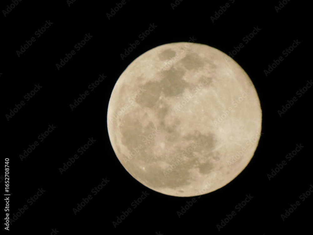 Obraz premium full moon on black