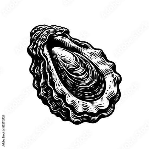 Hand drawn oyster isolated on white background, a delicious seafood delicacy