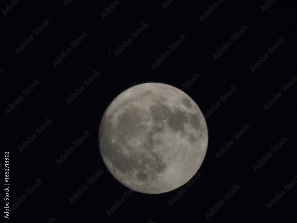 Obraz premium moon in the night sky