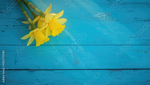 Vibrant yellow daffodils il...