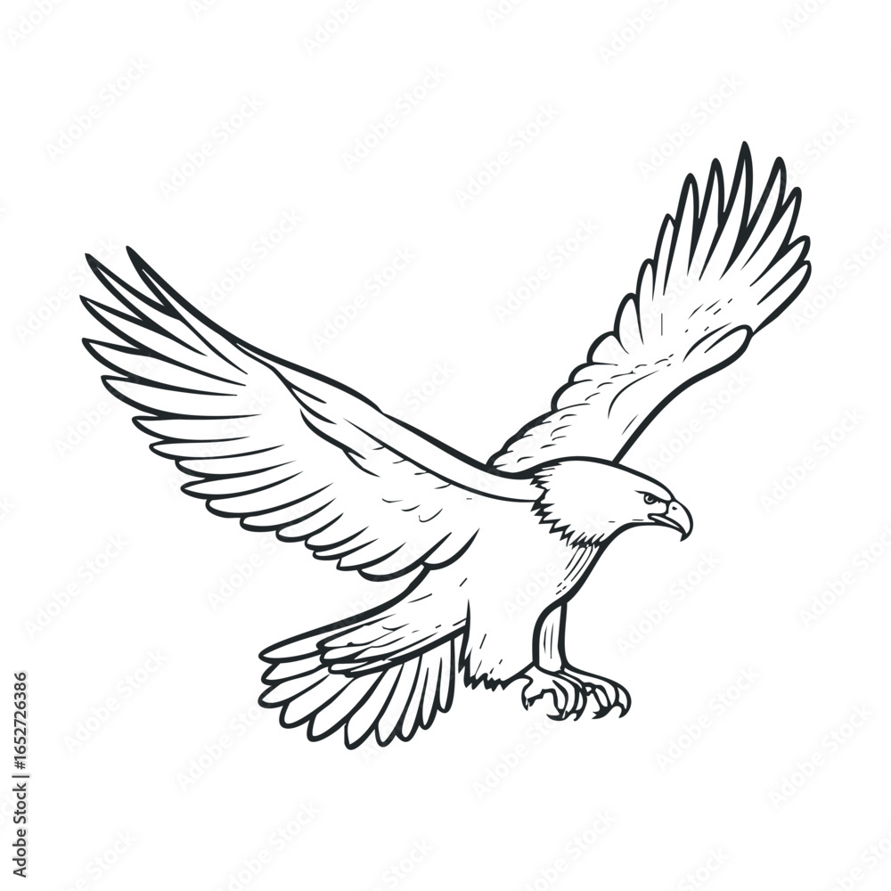 Obraz premium Majestic eagle in flight showcasing power and grace