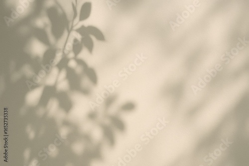 House wall decor featuring ...