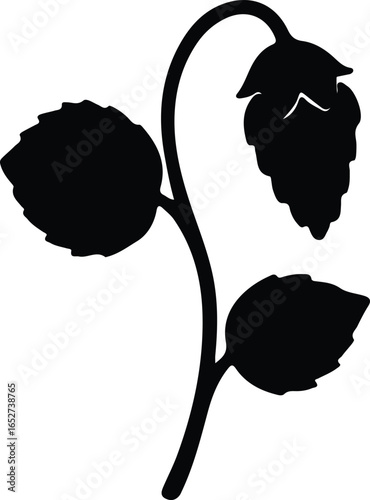 Vector Illustrator hop plant leaves branch monochrome Silhouette