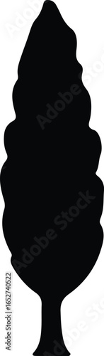 Vector Illustrator Lombardy Poplar Tree Simple Elegant Silhouette