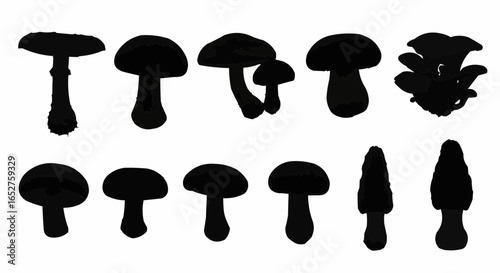 Mushroom Species Silhouette Set on White Background – Edible, Wild, Poisonous, Toadstool, Fantasy, and Forest Fungi Vector Silhouettes Collection Isolated