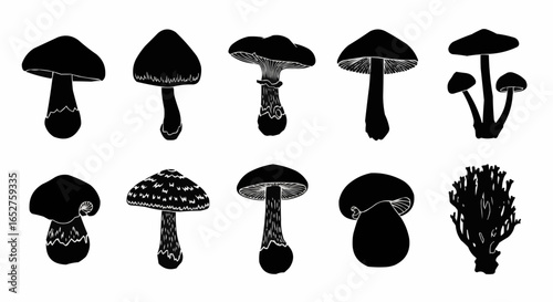 Mushroom Species Silhouette Set on White Background – Edible, Wild, Poisonous, Toadstool, Fantasy, and Forest Fungi Vector Silhouettes Collection Isolated