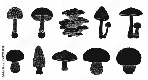 Mushroom Species Silhouette Set on White Background – Edible, Wild, Poisonous, Toadstool, Fantasy, and Forest Fungi Vector Silhouettes Collection Isolated