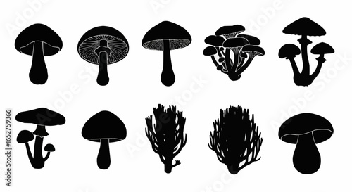 Mushroom Species Silhouette Set on White Background – Edible, Wild, Poisonous, Toadstool, Fantasy, and Forest Fungi Vector Silhouettes Collection Isolated