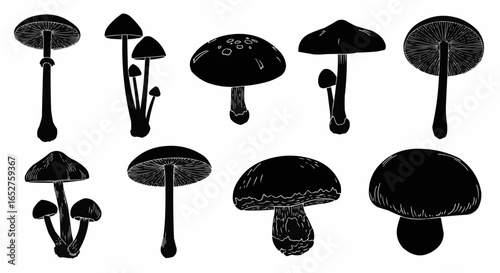 Mushroom Species Silhouette Set on White Background – Edible, Wild, Poisonous, Toadstool, Fantasy, and Forest Fungi Vector Silhouettes Collection Isolated