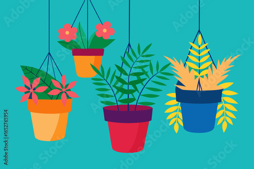 hanging plant pots full of bright flowers and fern