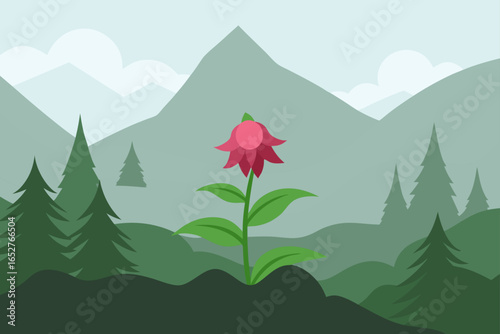 highland bloom in foggy mountain forest