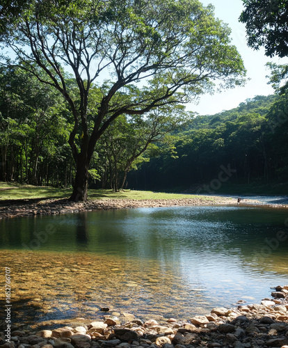 Serene lake surrounded by lush green trees and rocky shore under clear blue sky, creating peaceful natural landscape. sunlight filters through leaves, casting gentle reflections on water