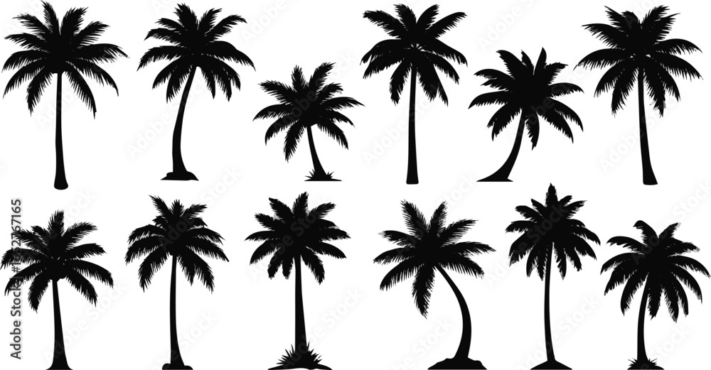 Fototapeta premium Isolated a kinds of deferent tropical palm tree silhouettes, perfect for summer, travel, vacation designs. palm tree Vector illustrations of diverse shapesvector art with white background.