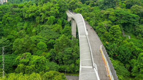 Canvas Print Aerial view of Henderson Waves Bridge in Singapore