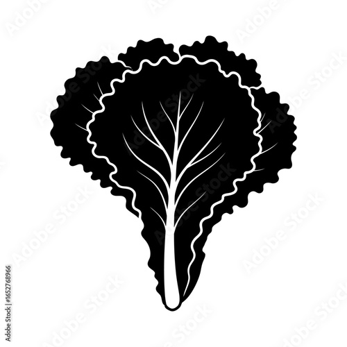 crisp lettuce icon highresolution transparent background vector