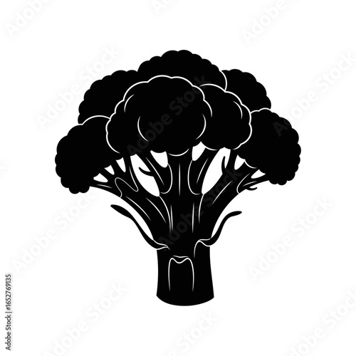 broccoli silhouette transparent background isolated vector graphic