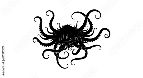 stylized octopus illustration transparent background perfect for design projects