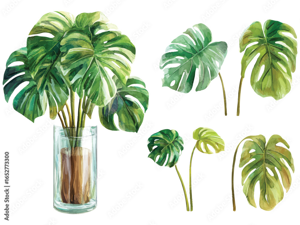 Obraz premium Watercolor monstera leaves set with glass vase and tropical greenery