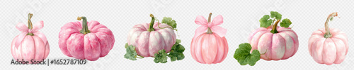 Watercolor set of pumpkin in soft pink tones with cute leaves, perfect for romantic autumn decor, party designs and seasonal crafts. Vector illustration.