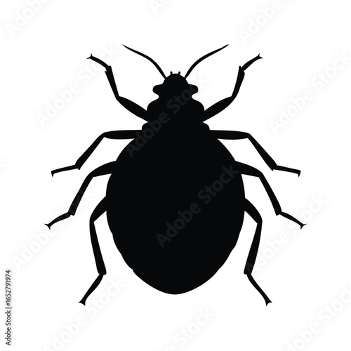 Silhouette of a Bed Bug on White Background with Detailed Legs