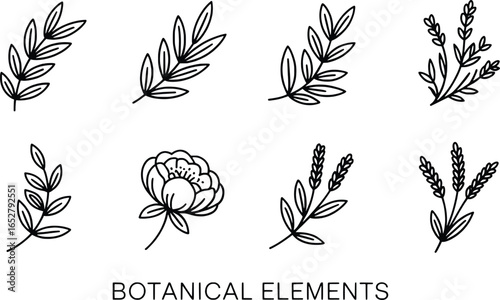 Hand drawn botanical elements collection floral sprigs and flowers