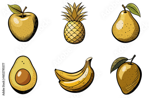 Collection of vintage-style vector images of tropical fruits