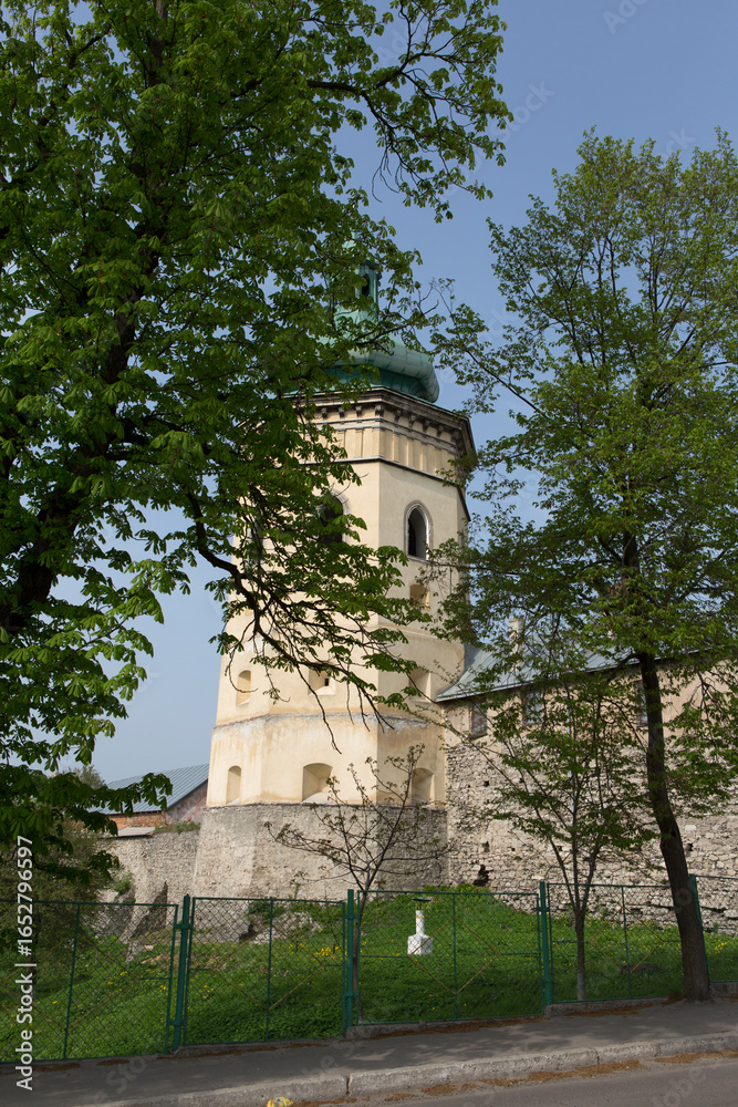Fototapeta premium Ukraine Lviv city view on a cloudy summer day