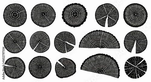 Tree Rings Silhouette Set on White Background – Wood Slices, Tree Stumps, Growth Rings, Trunk Cross Sections, Rustic Lumber and Abstract Wood Texture Vector Silhouettes Isolated