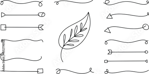 Hand drawn decorative flourishes and leaf illustration
