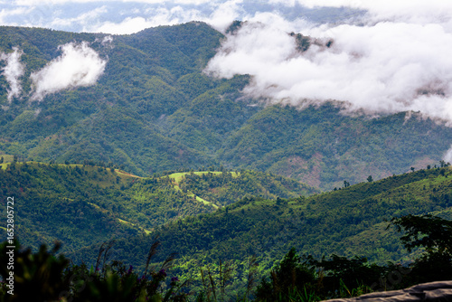 Panoramic nature background of mountain tops or from the top of a hill, where the trees are seen, hidden and there is beautiful light shining from the sky.