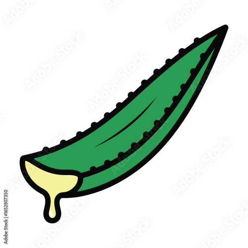 Aloe vera leaf illustration vector graphics natural image healthcare