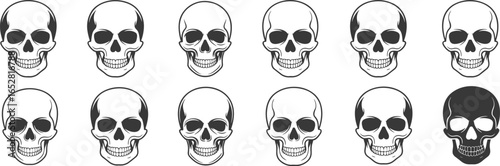 Set of detailed skull illustrations, black and white skull icons, human skull vector art, anatomical skull 