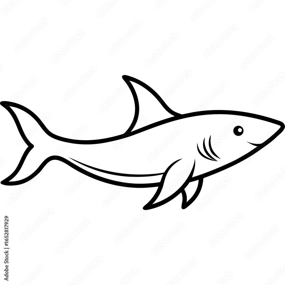 Obraz premium Minimalist Line Art Vector of Squatina Squatina Shark for Commercial UseSquatina Shark Line Art,Minimalist Angel Shark Vector, 