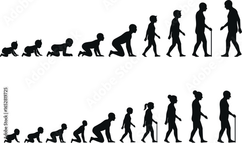 Silhouette illustration showing human life stages, baby crawling, child walking, adult standing, elderly with cane, aging process, growth development, black vector outline