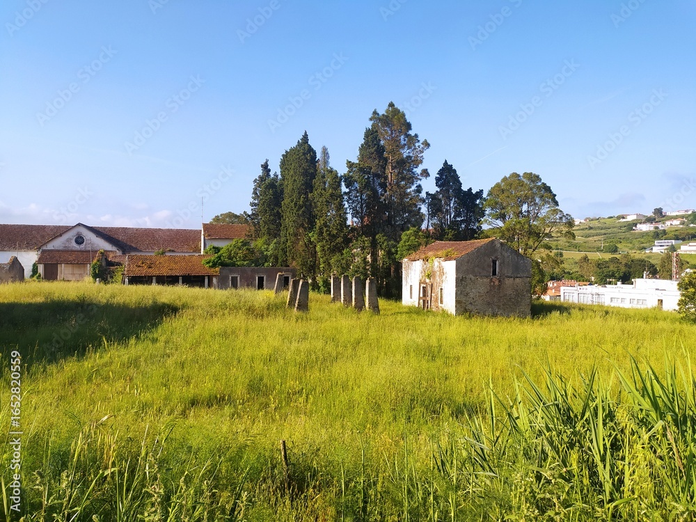 Obraz premium Scenic view of an old, weathered building in a lush meadow under a bright sky. Evokes themes of decay, resilience, and the passage of time. Suitable for travel, history, or real estate projects.