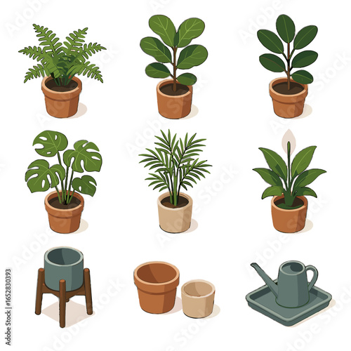 Leaf bamboo icon vector indoor potted planter fern fiddle plant monstera icons