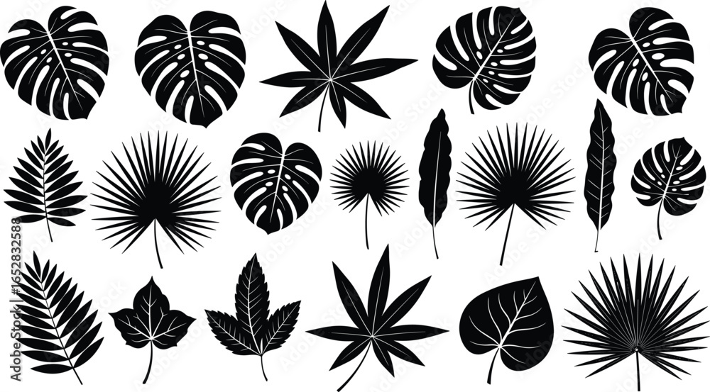 Assorted leaf silhouettes including tropical, palm, and monstera designs, ideal for botanical art, home décor, and creative illustration projects