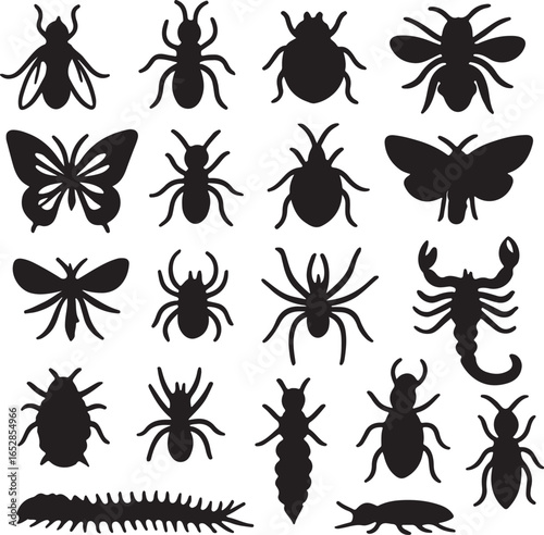 Insect and Arachnid Silhouette Set — Bugs, Spiders, Scorpion and Centipede