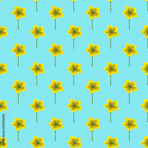 yellow flowers background