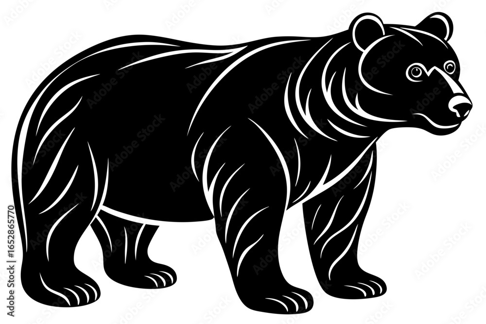 Obraz premium Vector illustration of a bear