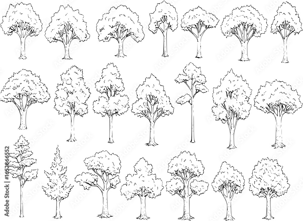 vector elements: tree sketches
