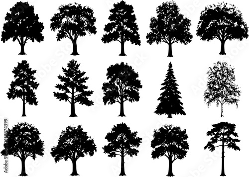 trees collection, 16 detailed, different tree vector
